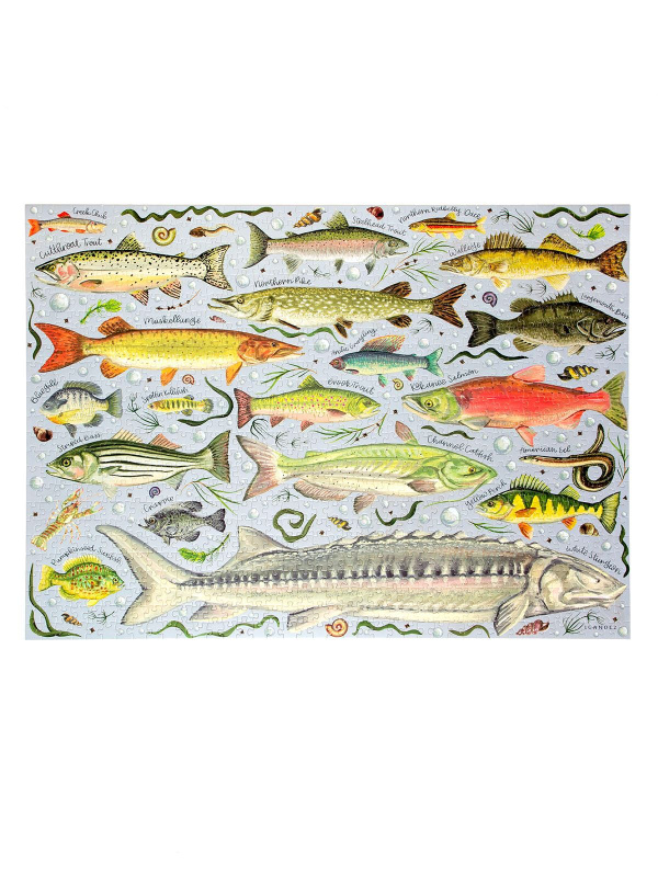Freshwater Fish - 1,000 Piece Jigsaw Puzzle, 4 of 9