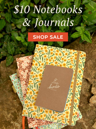 Shop $10 Notebooks & Journals