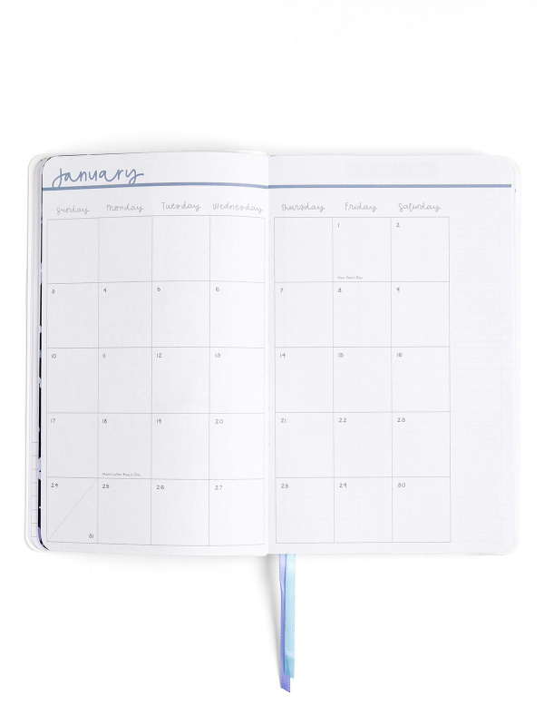Blue Floral & Bows Petite Planner : 2027 Calendar Year, 10 of 14