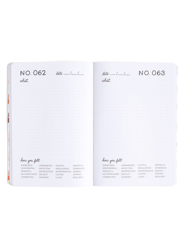 One Hundred Joys Journal - Large, 2 of 4