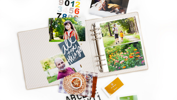 Stories of Fall, 5 of 8