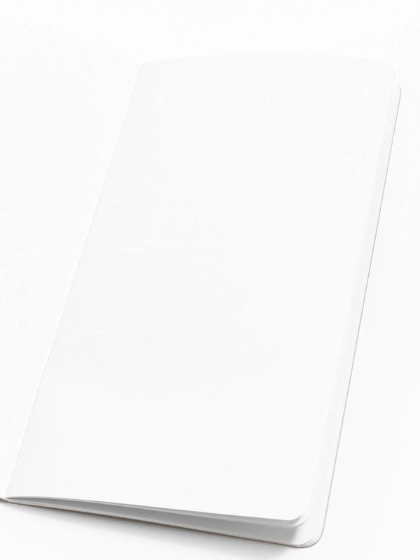 Kraft Traveler's Notebook, 2 of 4