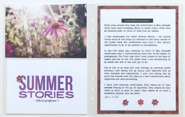 June 2017 Digital Kit, 5 of 10