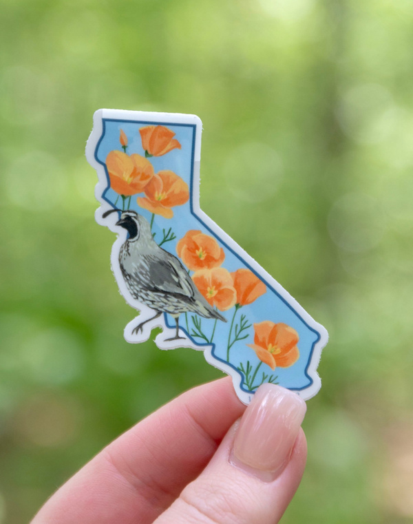 Birds & Blooms California Decal  Sticker, 1 of 5