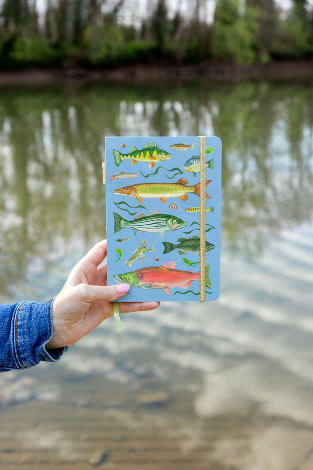 Freshwater Fish Lay Flat Lined Journal, 4 of 4