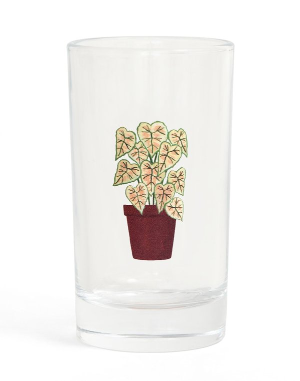 Houseplants 6oz Mini Juice Glass Set, 8 of 8