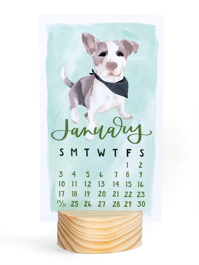 Furry Friends Dogs 2027 Mini Desk Calendar + Wooden Block, 1 of 7