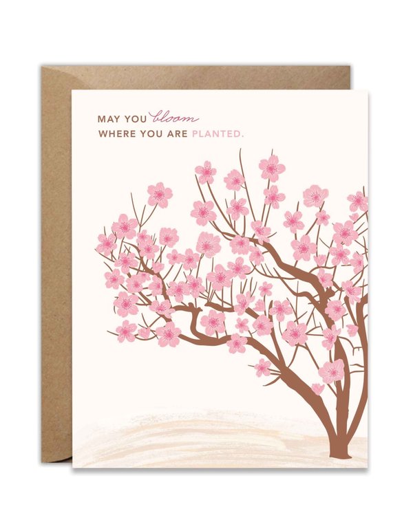 Bloom Where You Are Planted Peach Tree Greeting Card, 1 of 1