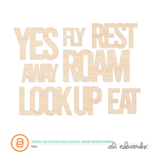 Travel Collection 2022 Digital Tall Skinny Wood Veneer Words, 1 of 1