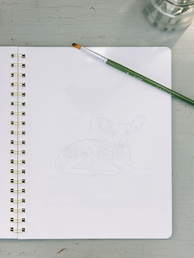 Flora & Fauna Learn-To-Paint Gouache Paint Book, 2 of 7