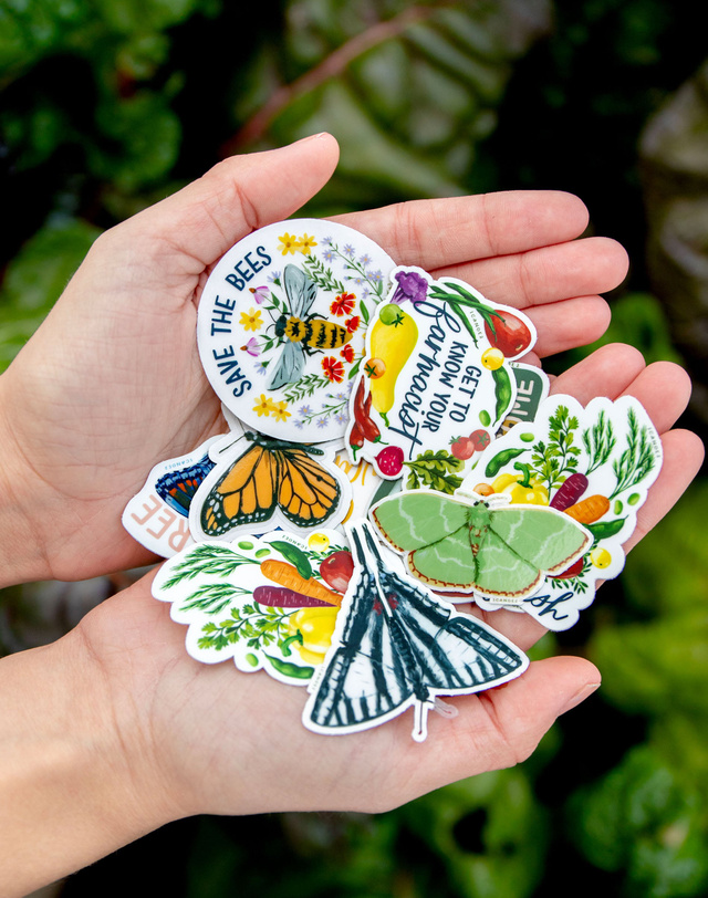 Red Fringed Emerald Moth Clear Decal Sticker, 3 of 4