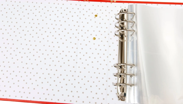 Stars 6×8 Album, 3 of 4