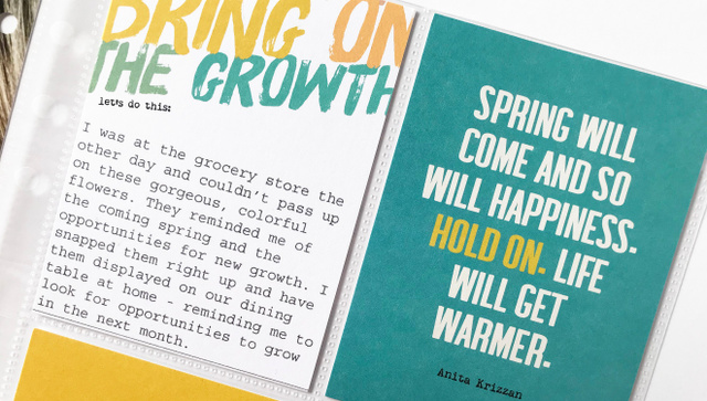 Growth, 4 of 4
