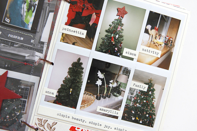 December Daily® 2010, 5 of 5