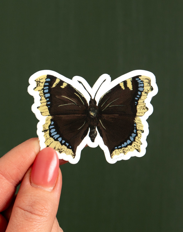 Mourning Cloak Butterfly Decal Sticker, 1 of 2