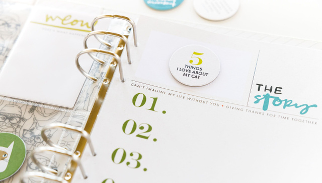 Story Play Mini Kit - Dogs & Cats, 4 of 5