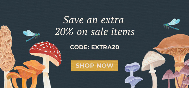 Shop Clearance
