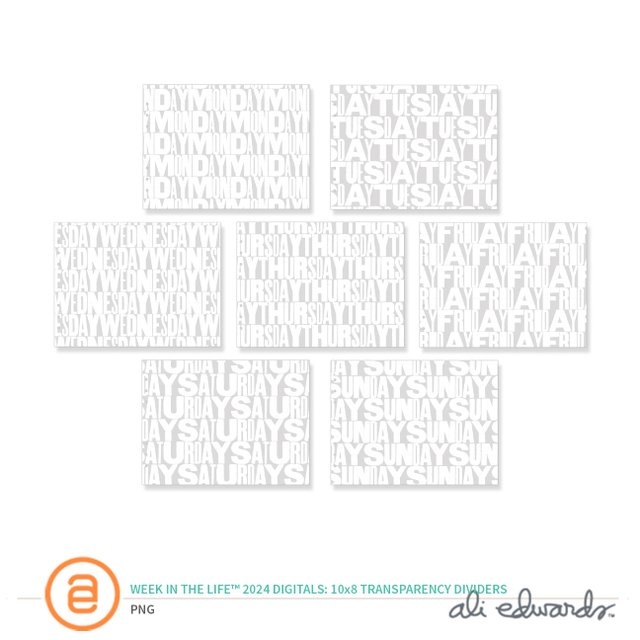 Week In The Life™ 2024 Digital 10×8 Transparency Dividers, 1 of 1