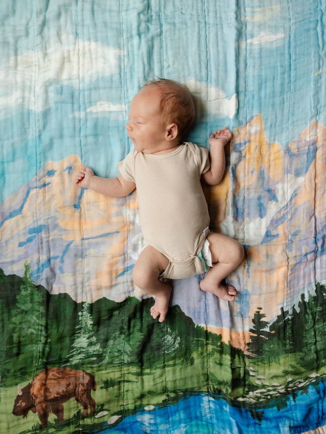 Grand Teton National Park Reversible Landscape Baby Quilt, 1 of 6
