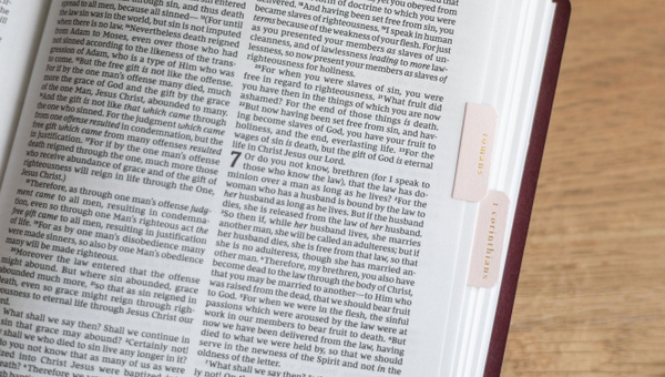 Bible Tabs - Pink and Cream, 4 of 6