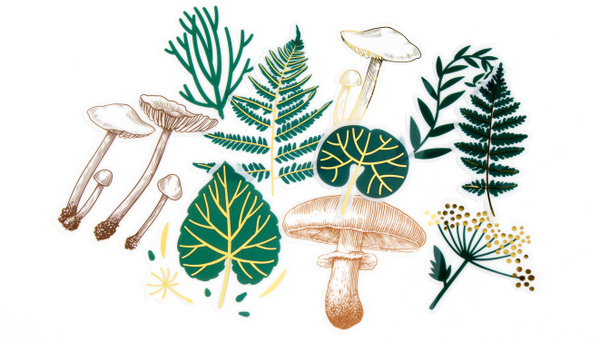 Story Kit™ Nature, 5 of 5