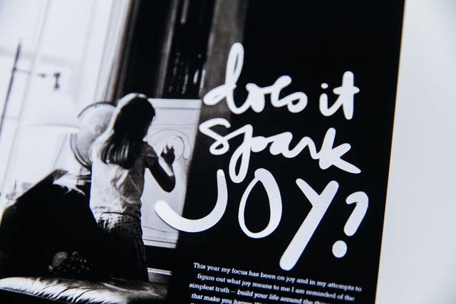 Does It Spark Joy?, 3 of 4
