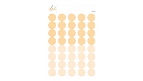 Color Collective 4×6 Circle Stickers - Blush, 1 of 1