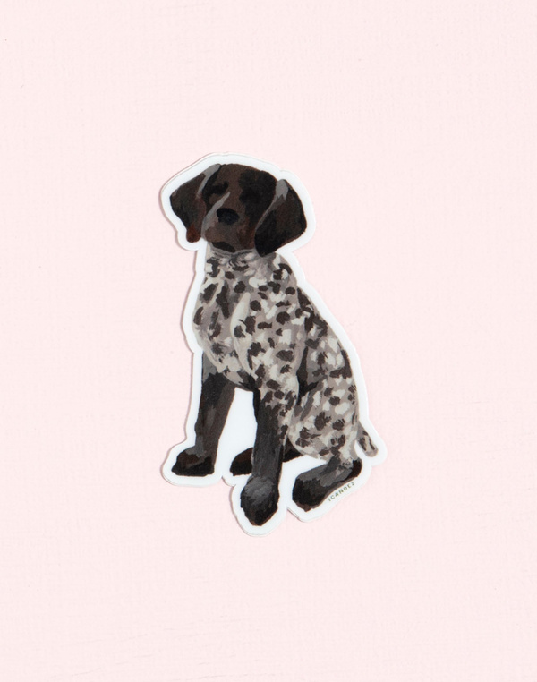 German Shorthaired Pointer Decal Sticker, 1 of 1