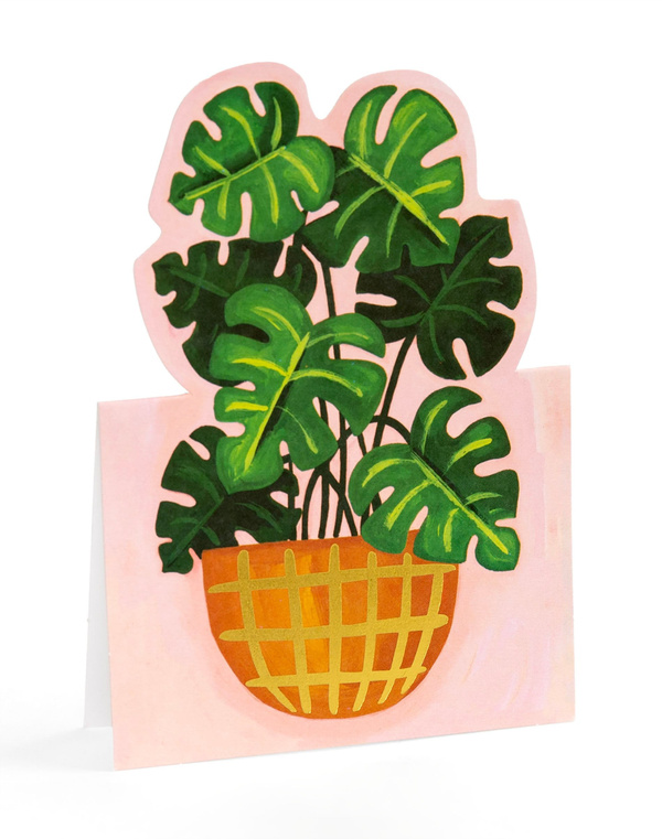 Potted Plants Pop-Up Greeting Card Box Set, 4 of 7