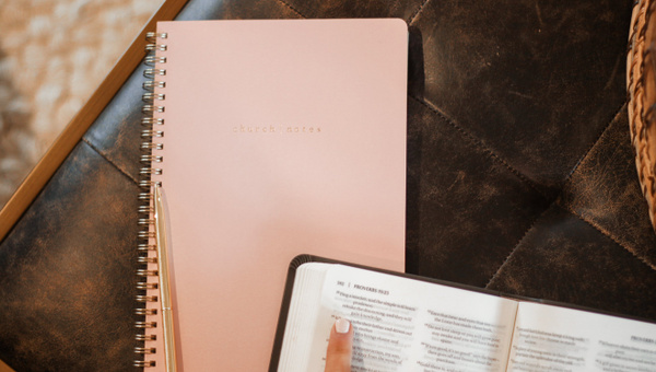 Notebook - Blush Pink , 10 of 12