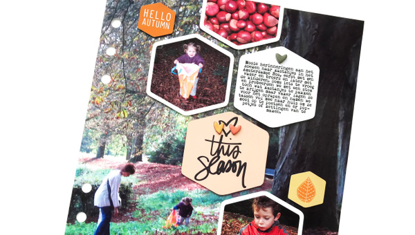 Hybrid All Year Round, 6 of 6