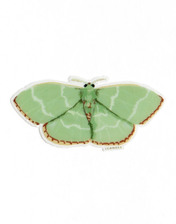 Red Fringed Emerald Moth Clear Decal Sticker, 4 of 4