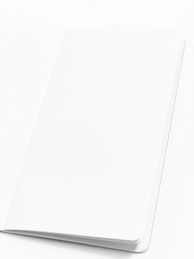 Kraft Traveler's Notebook, 2 of 4