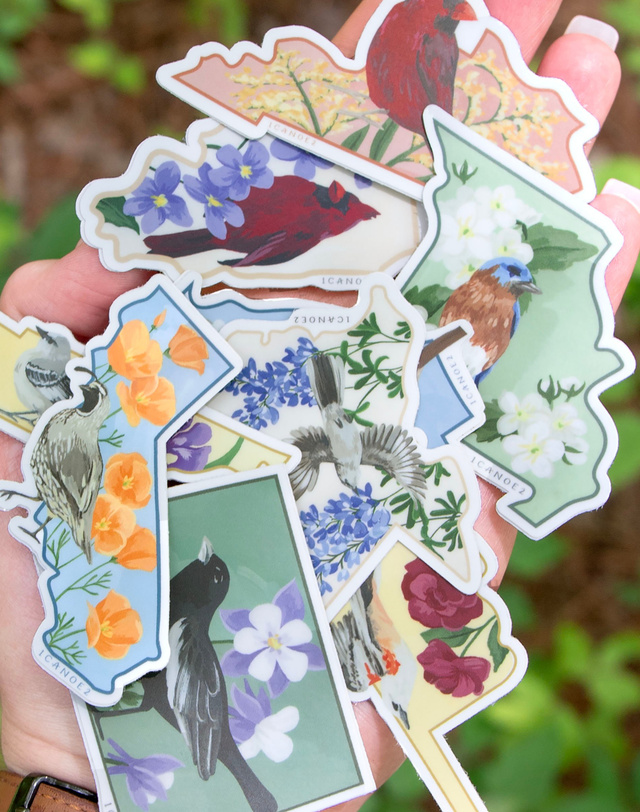Birds & Blooms Missouri Decal Sticker, 4 of 5