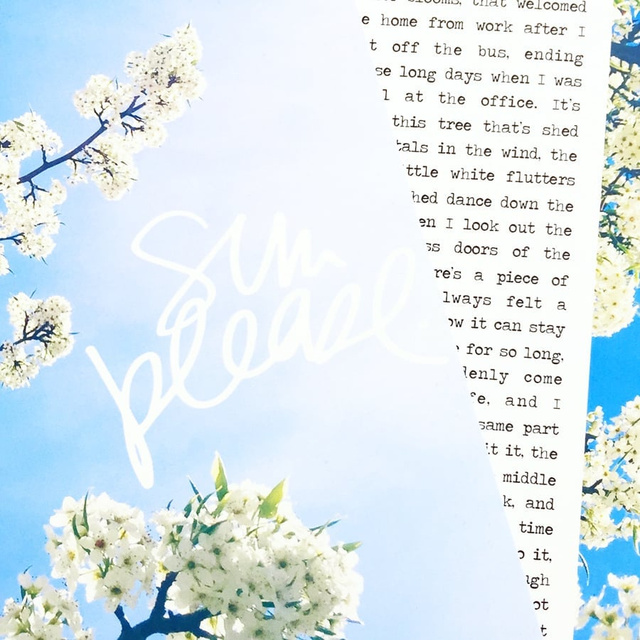 Sun Please, 1 of 2