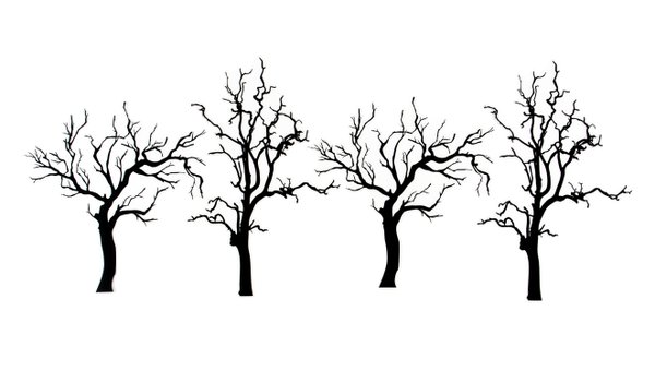 Hocus Pocus Plastic Trees, 1 of 2