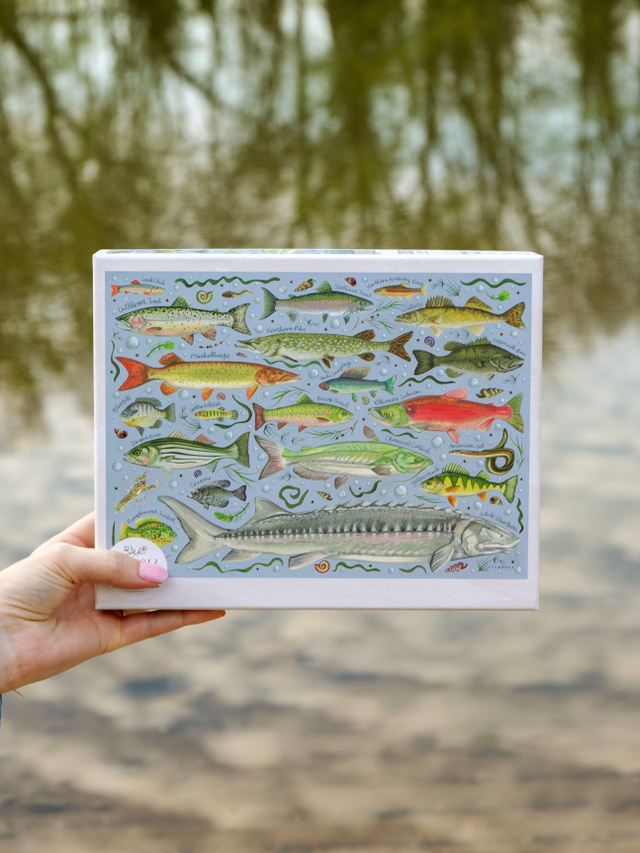 Freshwater Fish - 1,000 Piece Jigsaw Puzzle, 8 of 9