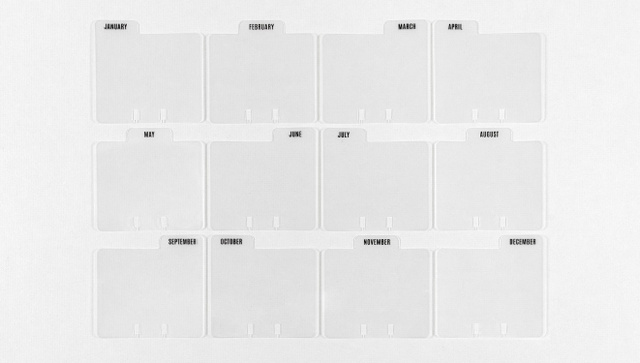 MemoryDex Monthly Dividers - Plastic, 1 of 2