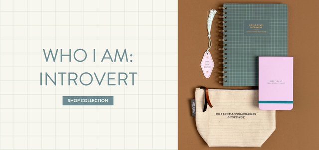 Shop Introvert Collection