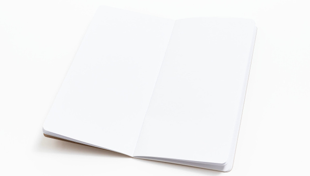 Kraft Traveler's Notebook, 2 of 2