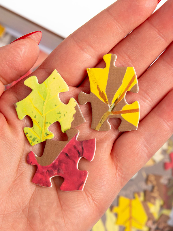 Fallen Leaves - 500 Piece Autumn Jigsaw Puzzle, 5 of 6