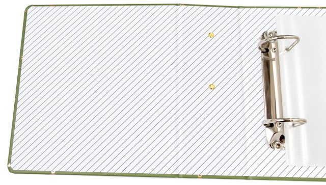 Green Stars 4×6 Album, 3 of 3