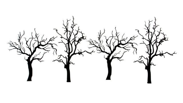 Hocus Pocus Plastic Trees, 1 of 2