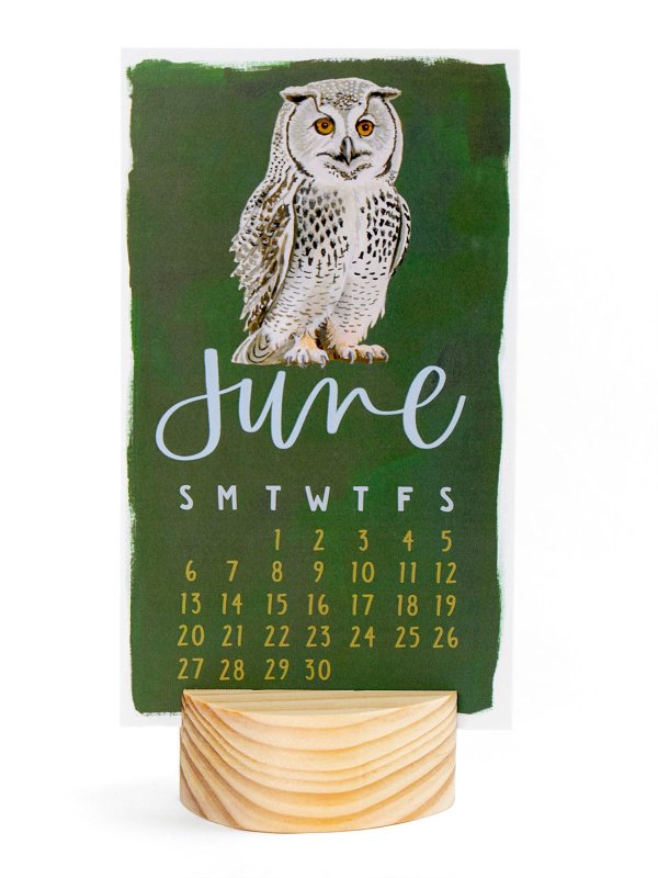 National Park Animals 2027 Mini Desk Calendar + Wooden Block, 3 of 10