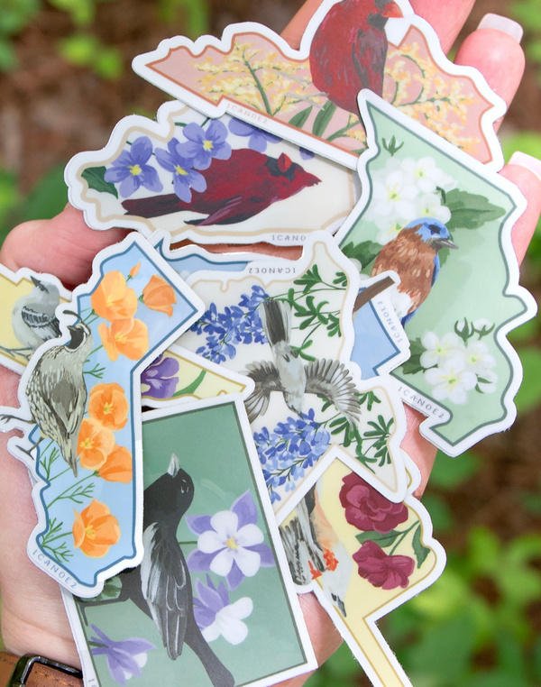 Birds & Blooms Missouri Decal Sticker, 4 of 5
