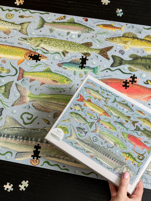 Freshwater Fish - 1,000 Piece Jigsaw Puzzle, 5 of 9