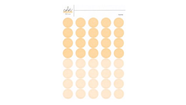 Color Collective 4×6 Circle Stickers - Blush, 1 of 1
