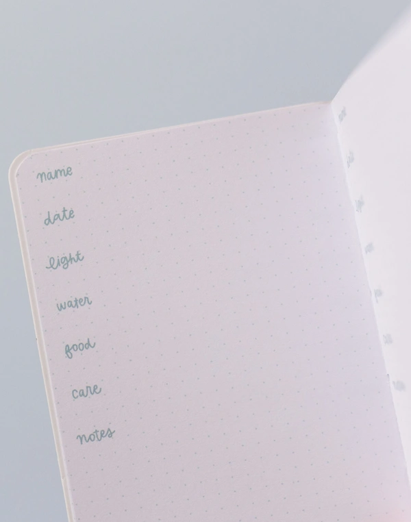 Mini Book of Plants, 3 of 8