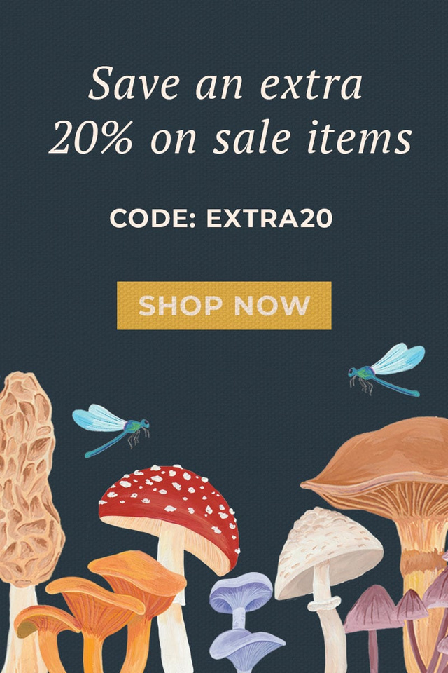 Shop Clearance