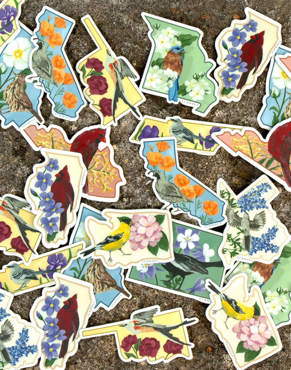 Birds & Blooms Illinois Decal Sticker, 4 of 5